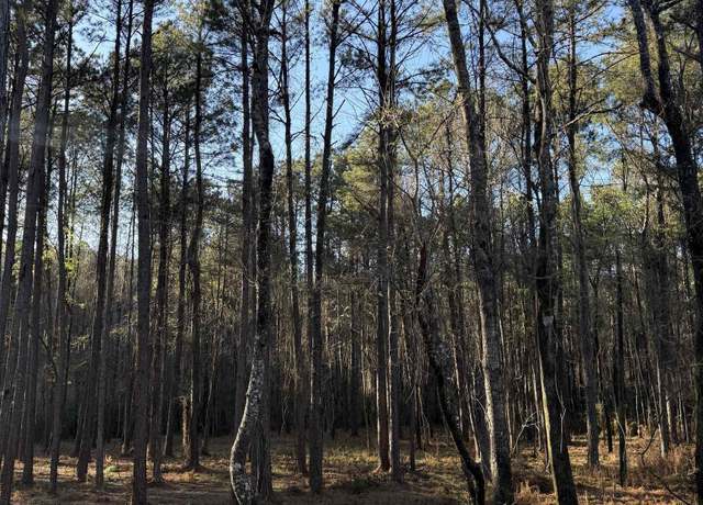 Property at TBD Lot X-1 Scott Barr Rd, Slaughter, LA 70777