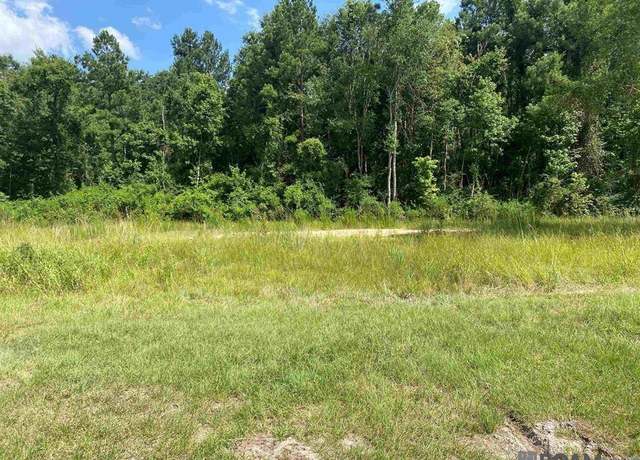 Property at 36658 La Hwy 16, Denham Springs, LA 70706