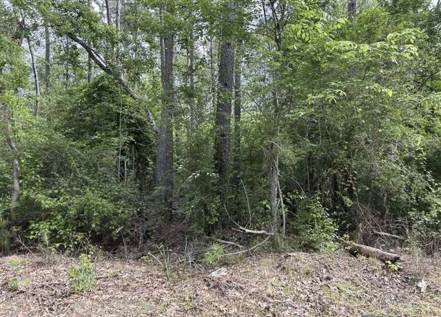 Property at TBD Church Of God Rd, Springfield, LA 70462