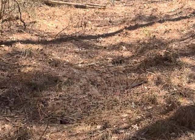 Property at TBD Mckenzie Rd, Tylertown, MS 39667