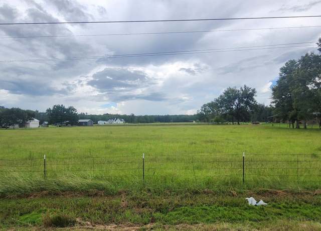 Property at TBD Butch Gore Rd, St Amant, LA 70774