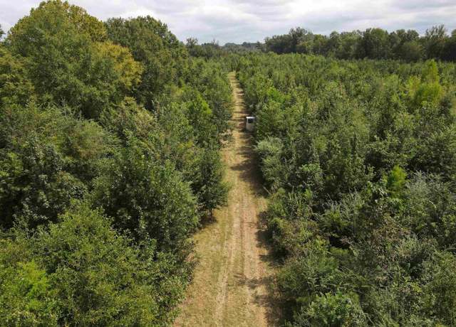 Property at Hwy 171, Many, LA 71449