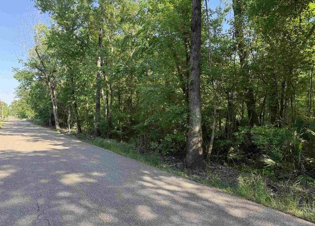 Property at Tract 2-A-2 Melancon Rd, St Amant, LA 70774