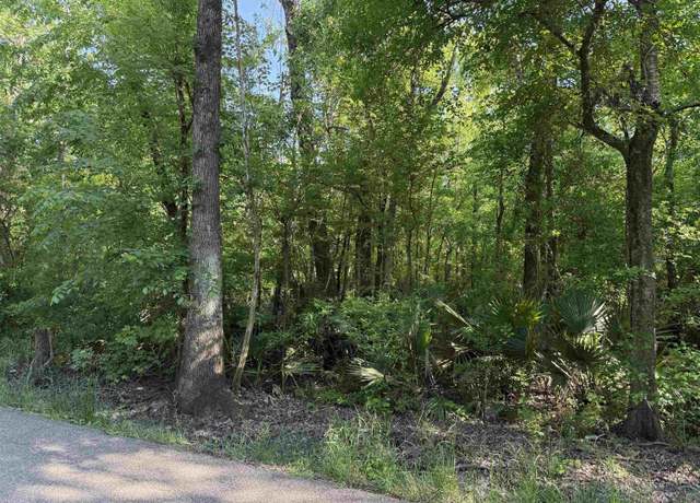Property at Tract 2-A-2 Melancon Rd, St Amant, LA 70774