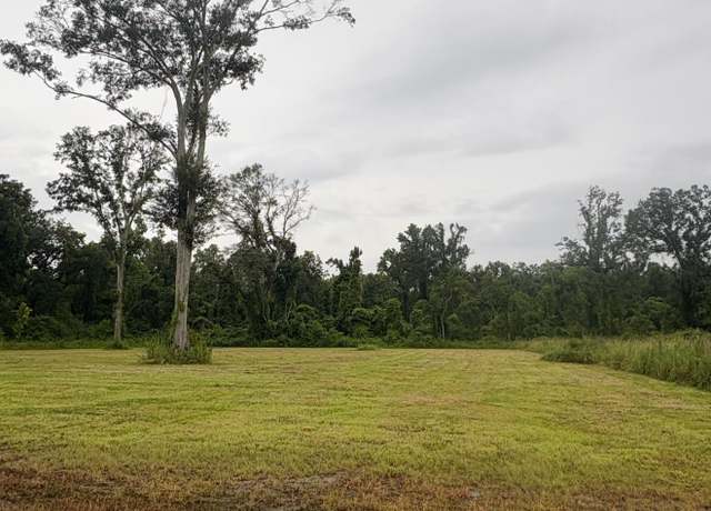 Property at 38354 N Robert Wilson Rd, Gonzales, LA 70737