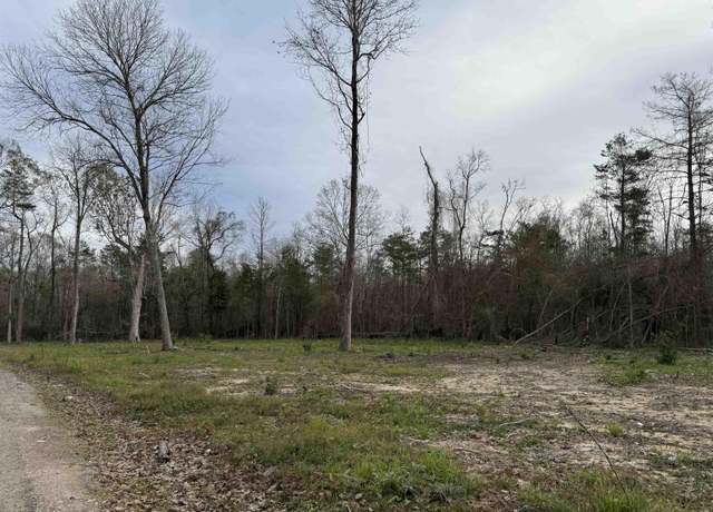 Property at 29428 Linda Hvn, Springfield, LA 70462