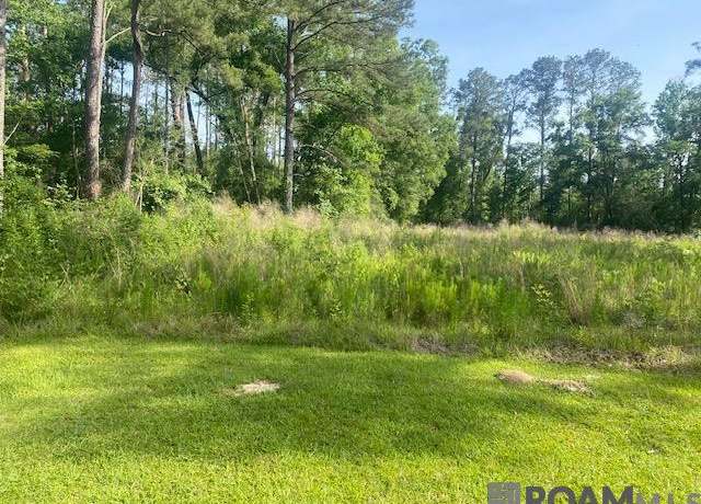 Property at 61199 Hwy 1046, Amite, LA 70422