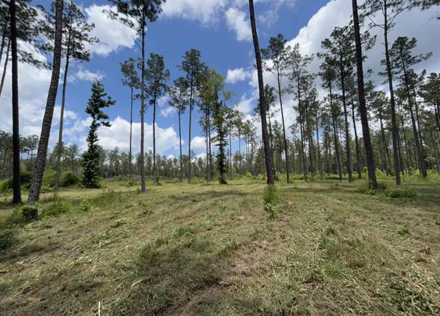 Property at 14856 Pace Rd, Clinton, LA 70722