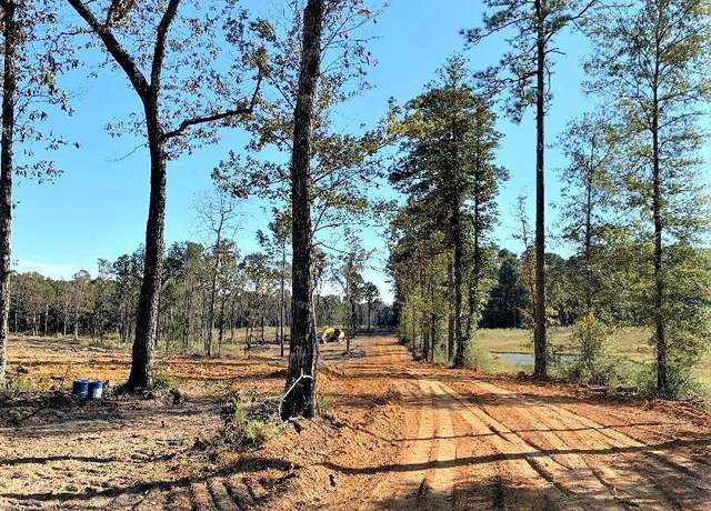 Property at 1A La Hwy 63, Clinton, LA 70722