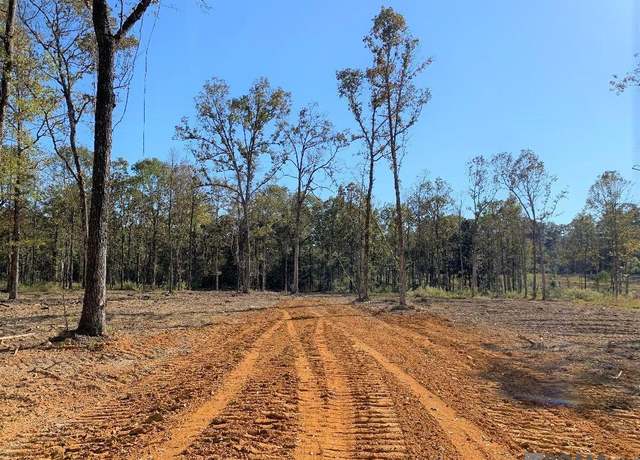 Property at 1B La Hwy 63, Clinton, LA 70722