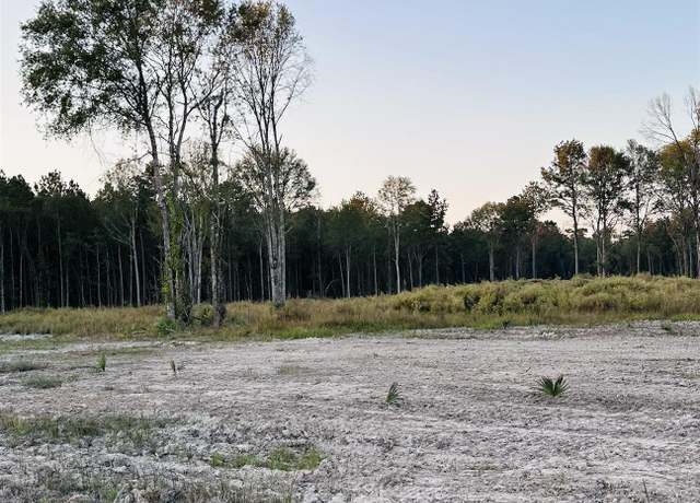 Property at 16361 Peacock Dr, Walker, LA 70785
