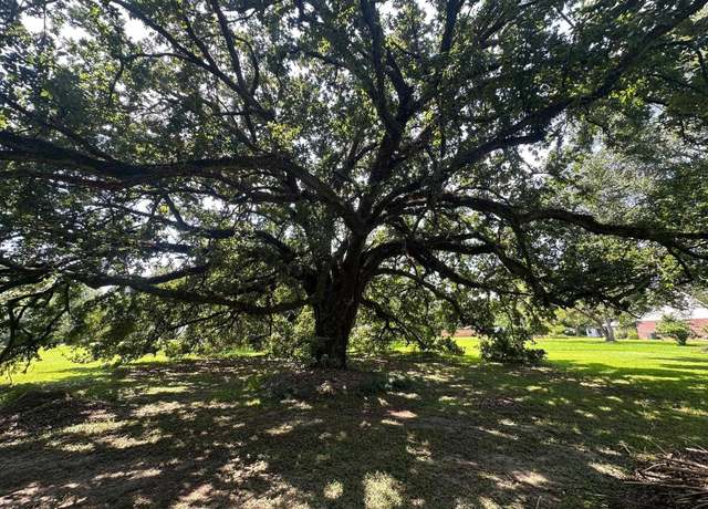 Property at Alex Rd, Gonzales, LA 70737