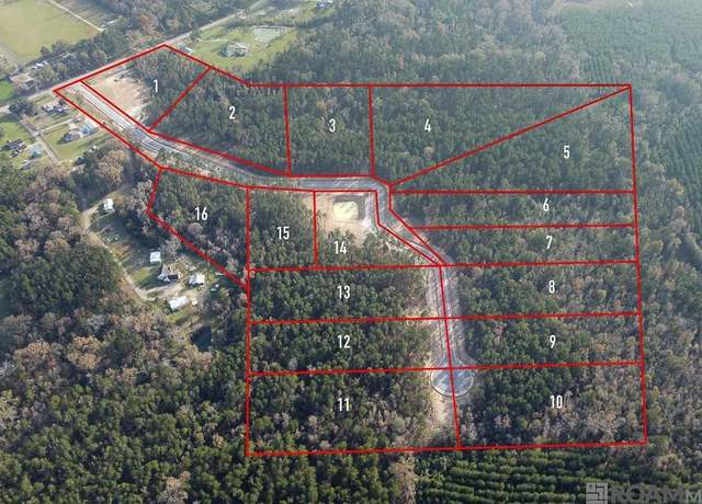 Property at 18292 Settlement Hill Trce, Livingston, LA 70754