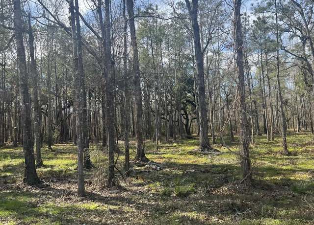 Property at WC-6 Coates Rd, Springfield, LA 70462
