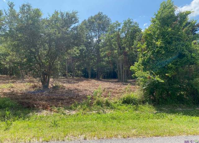 Property at 18377 Amite Acres Dr, Prairieville, LA 70769
