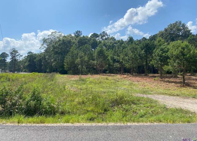 Property at 18371 Amite Acres Dr, Prairieville, LA 70769