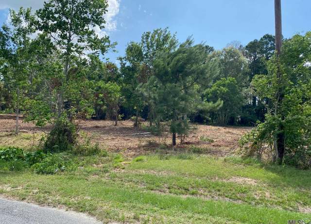 Property at 18389 Amite Acres Dr, Prairieville, LA 70769