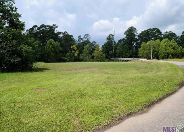 Property at 13822 Calle Sevario Dr, Port Vincent, LA 70769