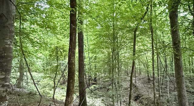Photo of 8145 Gordon Station Rd, Port Gibson, MS 39150
