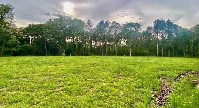 Photo of 67331 Oil Field Rd, Kentwood, LA 70444