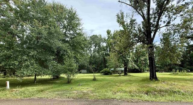 Photo of Lots B & C Steve Hughes Rd, Walker, LA 70785