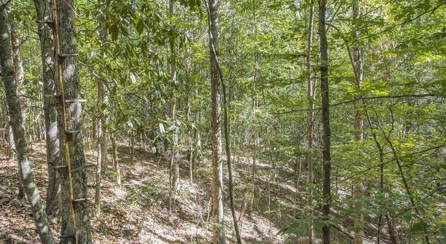 Photo of Tract A Rogers Rd, St Francisville, LA 70775