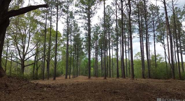 Photo of 68434 Monroe Stevens Rd, Kentwood, LA 70444