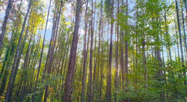 Photo of Lot 11 & 12 La Hwy 449, Pine Grove, LA 70453