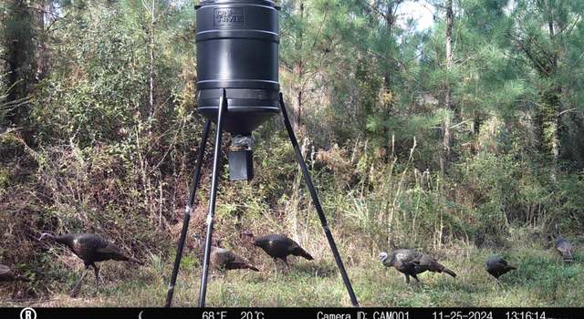 Photo of 00 County Line Rd, Summit, MS 39666