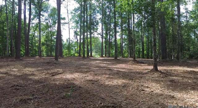 Photo of TBD La Hwy 1058, Roseland, LA 70456