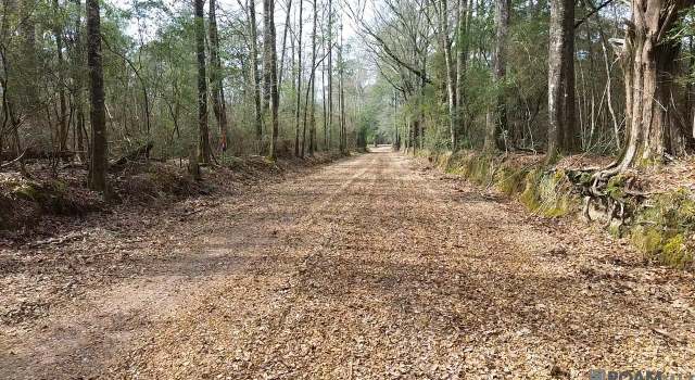 Photo of Tract 2-A Bryce Hyde Rd, Roseland, LA 70456