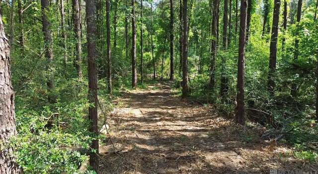 Photo of Tract B Harts Ln, LA 70444
