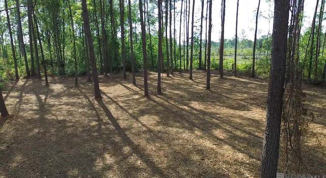 Photo of TBD Vernon School Rd, Mt Hermon, LA 70450