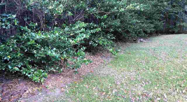Photo of 262 West Dr, Baton Rouge, LA 70806