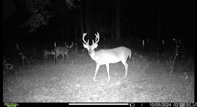 Photo of 12200 Farrar Davis Rd, St Francisville, LA 70775