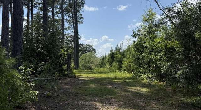 Photo of 77151 N River Rd, Kentwood, LA 70444
