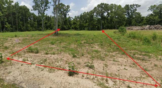 Photo of 38354 N Robert Wilson Rd, Gonzales, LA 70737