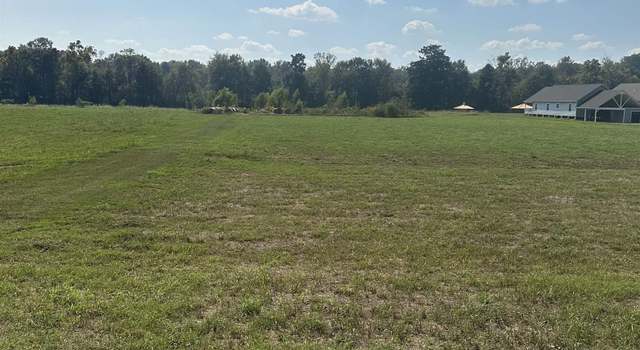 Photo of B-2 Island Rd, Jarreau, LA 70749