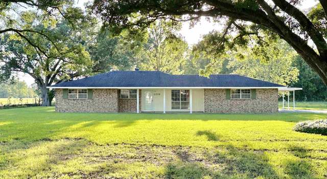 Photo of 1219 S Lanoux Ave, Gonzales, LA 70737