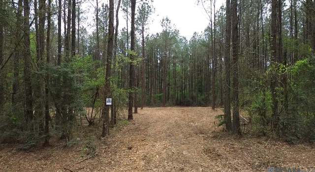 Photo of Tract C Harts Ln, Kentwood, LA 70444