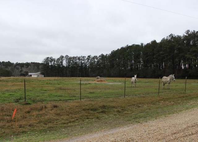 Property at TW-1A2A Karli Ln, Albany, LA 70711