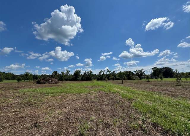 Property at 5.5 Acres Eaglesnest Ln, Franklinton, LA 70438