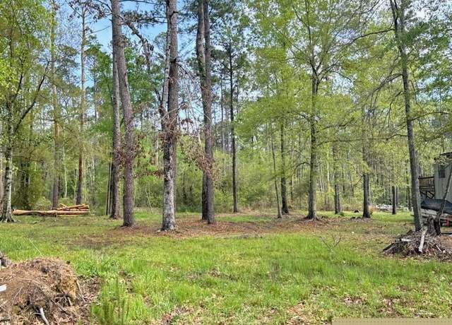 Property at 31581 River Pines Dr, Springfield, LA 70462