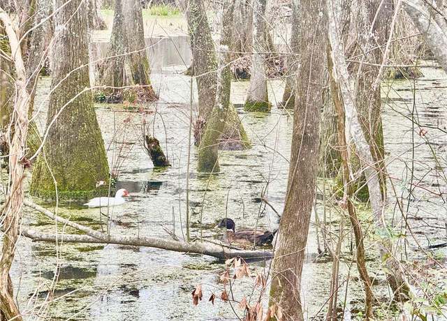 Property at tbd Hills Rd, Holden, LA 70744