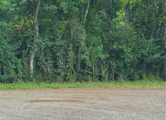 Property at 0000 Shady Ln, Tickfaw, LA 70466