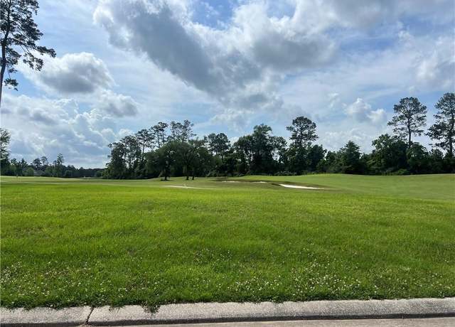 Property at 24195 Snowy Egret Cv, Springfield, LA 70462