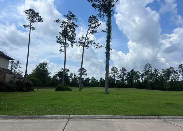 Property at 24215 Snowy Egret Cv, Springfield, LA 70462