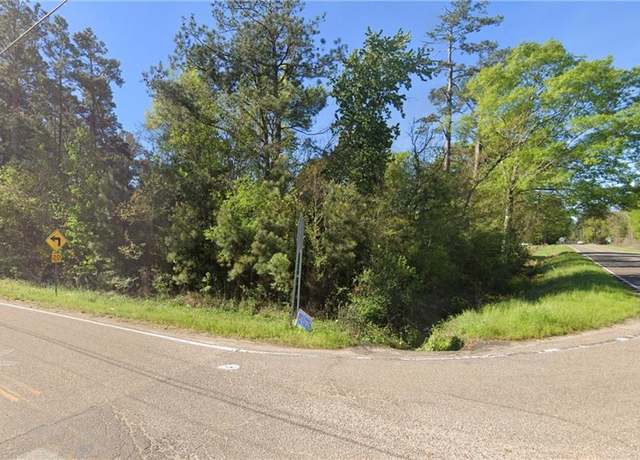 Property at 0 River Road 42 Acres Rd, Hammond, LA 70401