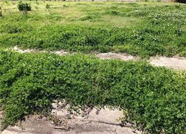 Property at 2336 Artillery Dr, Chalmette, LA 70043