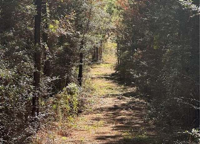 Property at Undisclosed address, Mount Hermon, LA 70450